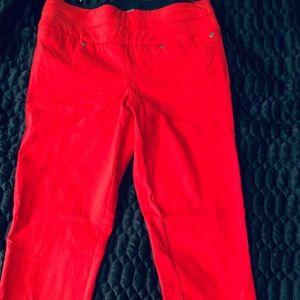 Women’s dress pants